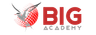 The BIG Academy
